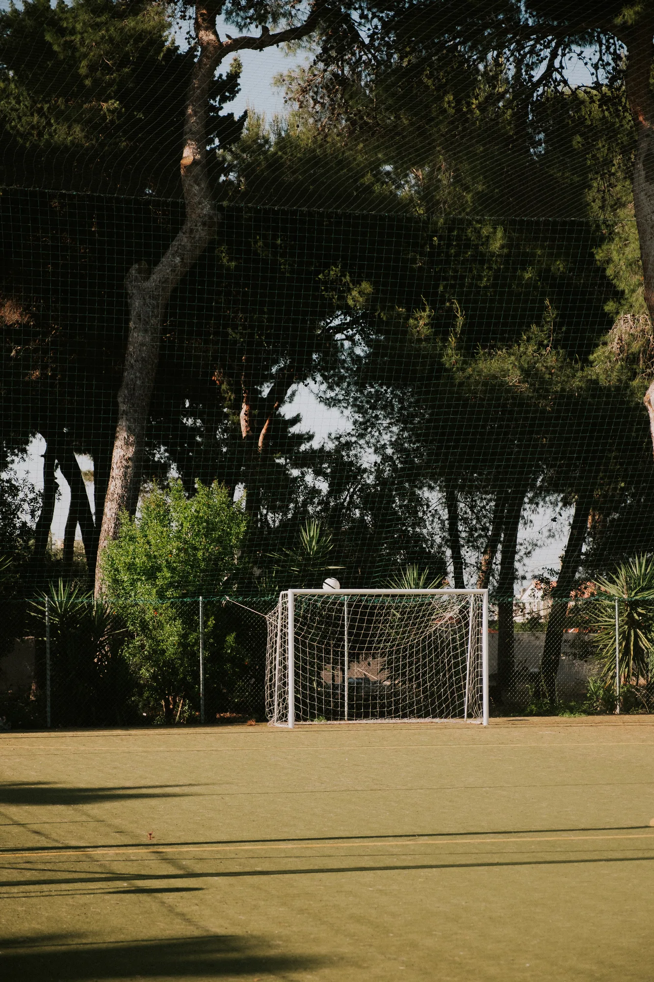 Campi da beach volley
